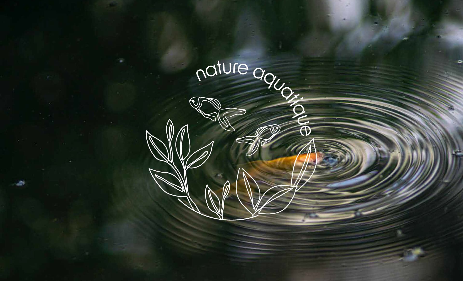 Nature Aquatique-Logo2
