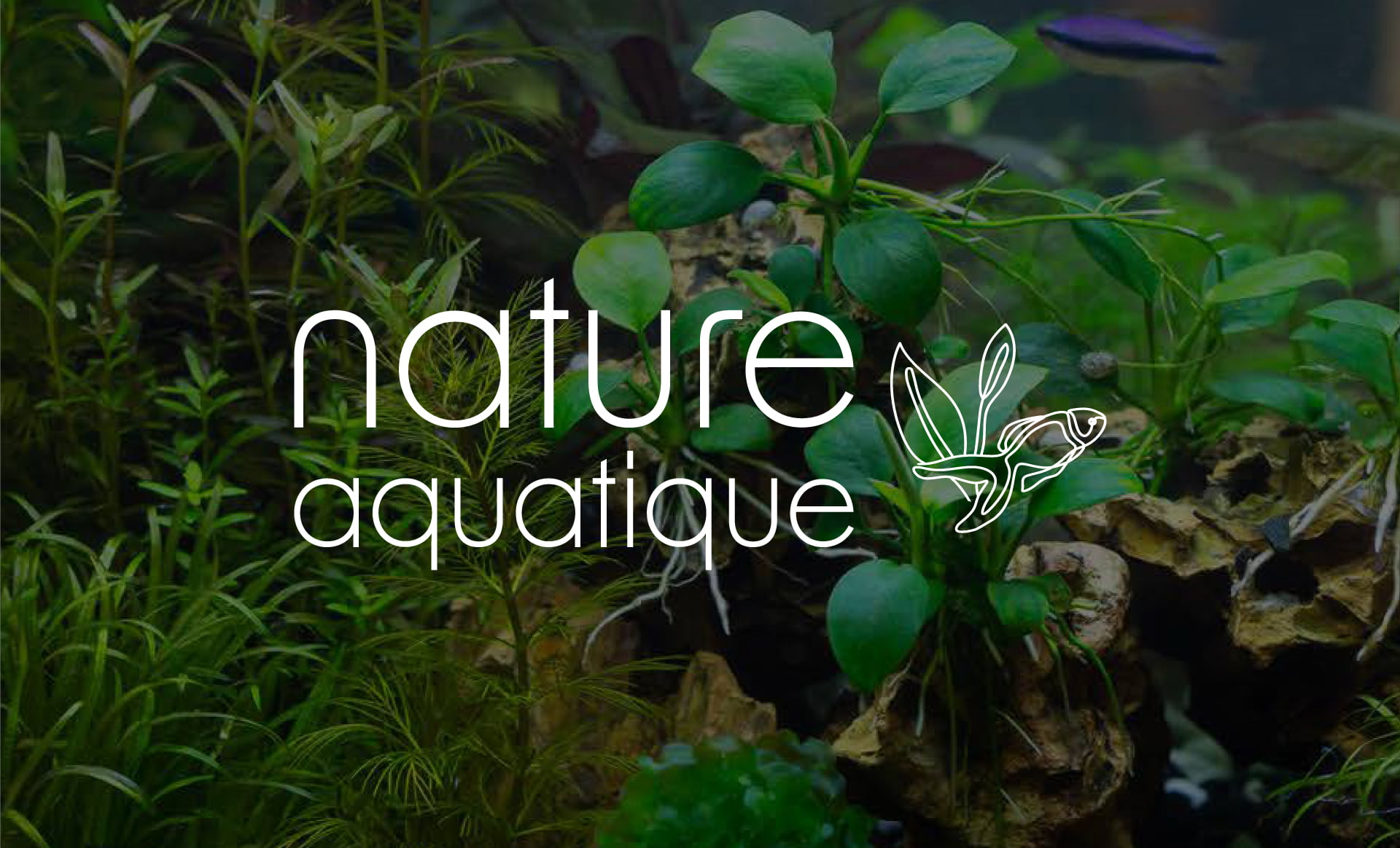 Nature Aquatique-Logo3