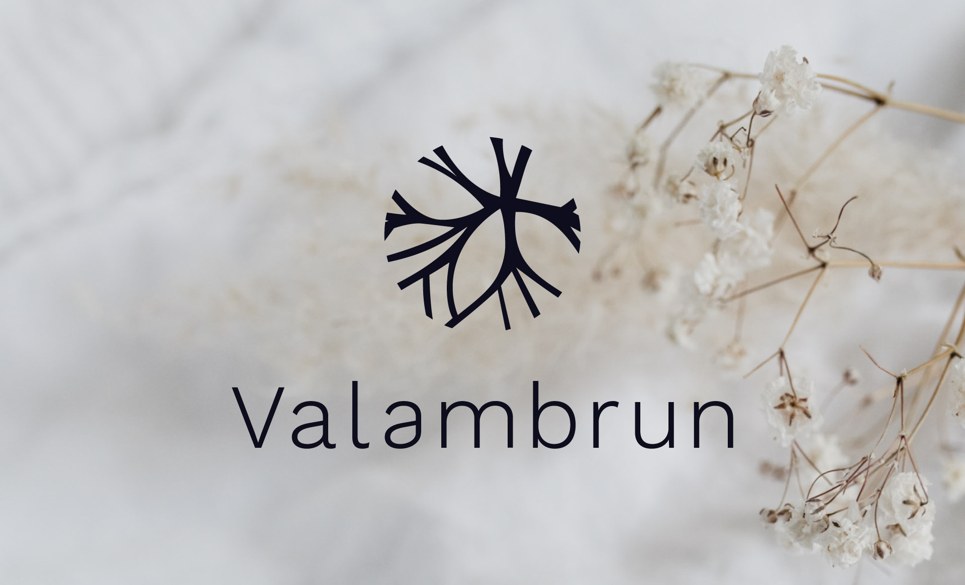 Valambrun-Logo5
