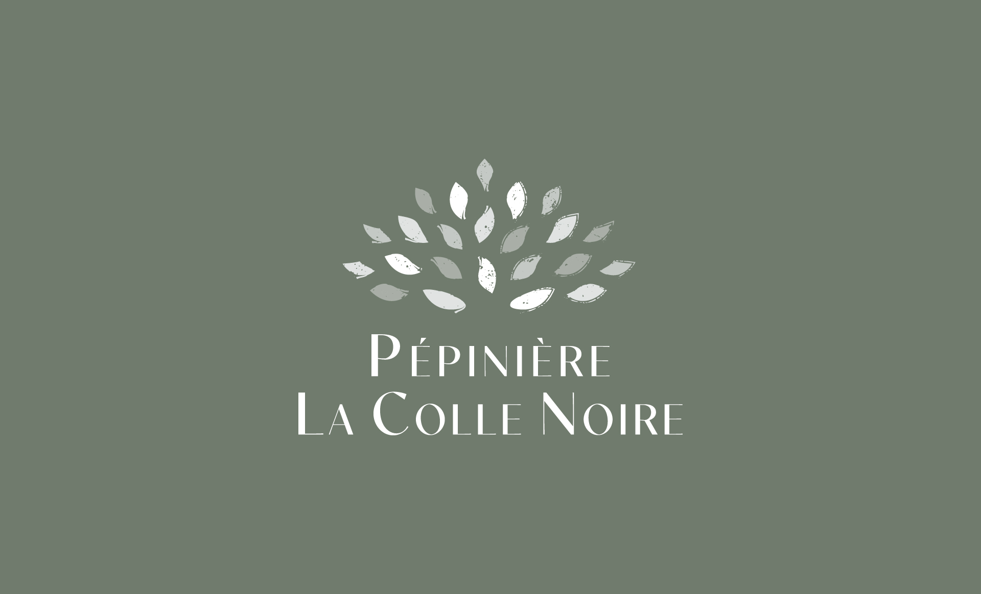 LaColleNoire_Logo-01